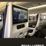 レス6番の画像サムネイル