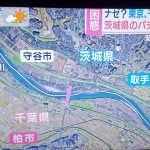 レス6番の画像サムネイル