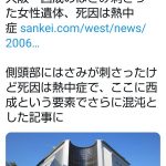 レス1番の画像サムネイル
