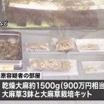 レス1番の画像サムネイル