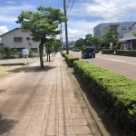 レス2番の画像サムネイル