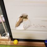 レス1番の画像サムネイル
