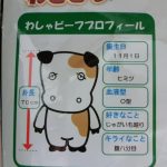 レス1番の画像サムネイル