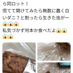 レス21番の画像サムネイル