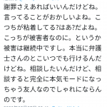 レス17番の画像サムネイル
