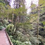 レス14番の画像サムネイル