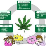 レス27番の画像サムネイル