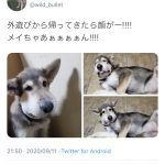レス1番の画像サムネイル