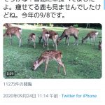 レス1番の画像サムネイル