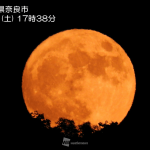 レス1番の画像サムネイル