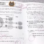 レス30番の画像サムネイル