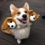 レス1番の画像サムネイル