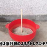 レス12番の画像サムネイル