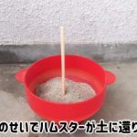 レス12番の画像サムネイル