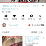 レス12番の画像サムネイル