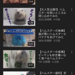 レス33番の画像サムネイル