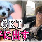 レス1番の画像サムネイル