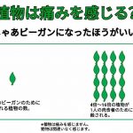 レス5番の画像サムネイル
