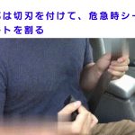 レス19番の画像サムネイル