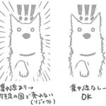 レス2番の画像サムネイル