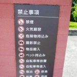 レス28番の画像サムネイル
