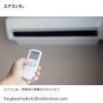 レス31番の画像サムネイル