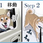 レス15番の画像サムネイル