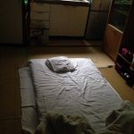レス29番の画像サムネイル