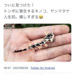 レス1番の画像サムネイル