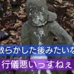 レス1番の画像サムネイル