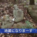 レス1番の画像サムネイル