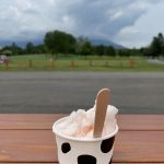 レス46番の画像サムネイル