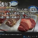 レス3番の画像サムネイル