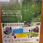 レス19番の画像サムネイル