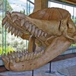 レス15番の画像サムネイル