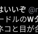 レス37番の画像サムネイル