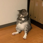 レス1番の画像サムネイル