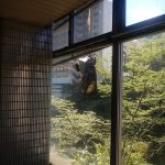 レス22番の画像サムネイル