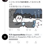 レス54番の画像サムネイル