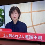 レス13番の画像サムネイル