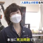 レス2番の画像サムネイル