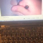 レス19番の画像サムネイル
