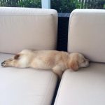 レス2番の画像サムネイル