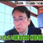 レス1番の画像サムネイル