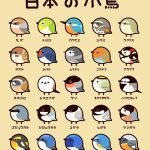 レス54番の画像サムネイル