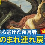 レス43番の画像サムネイル