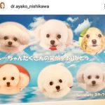 レス1番の画像サムネイル