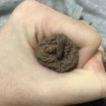 レス1番の画像サムネイル