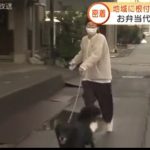 レス18番の画像サムネイル