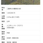 レス1番の画像サムネイル